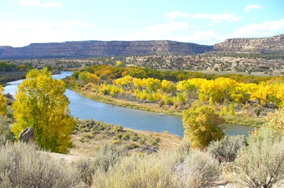 New Mexico San Juan River