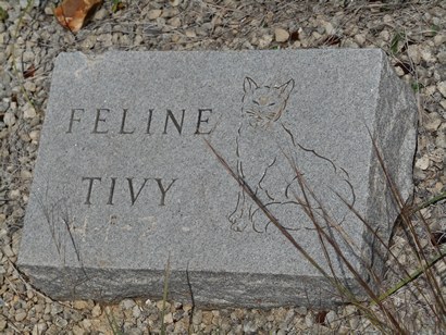  TX -  Feline Tivy tombstone on Tivy Mountain