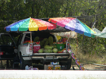 Austin TX - Fruit Vendor Highway 71