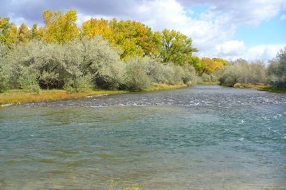 Fly fishing in New Mexico's San Juan River