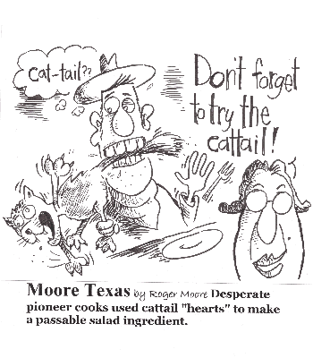 Cat-tail  for food - Texas History Cartoon