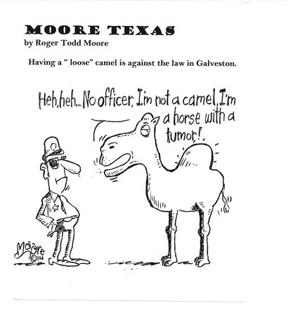 "Loose" Camel; Texas history cartoon