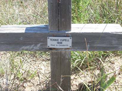 Alanreed TX Eldridge Cemetery  Tennie Cupell 1898