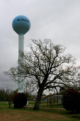 Blossom Texas water tower