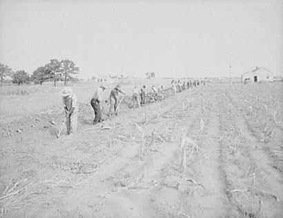 Dalworthington GardensTexas/DalworthingtonGardens Texas Men Plowing Field 1930s