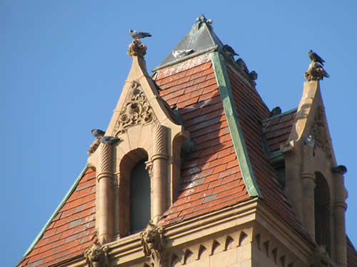 Decatur TX - Wise County courthouse roof top