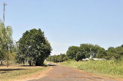 Faught TX Country Scene