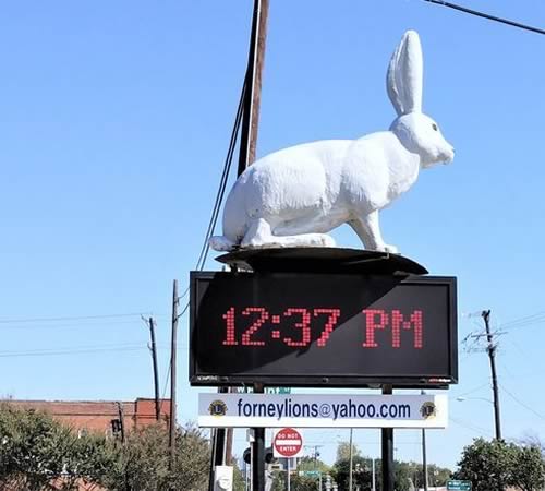 Forney Texas - Jackrabbit 