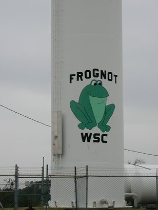 Frog in Frognot, Texas