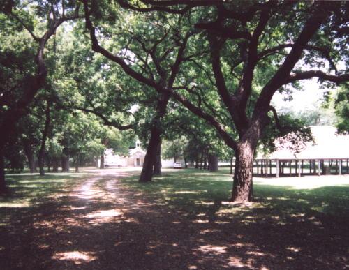 Pecan Grove and Baptist Church , Gatesville, Texas 