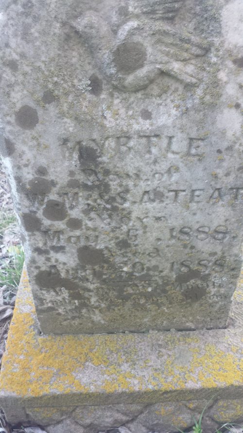 Grandview TX - Wilkinson Family  Cemetery infant tombstone