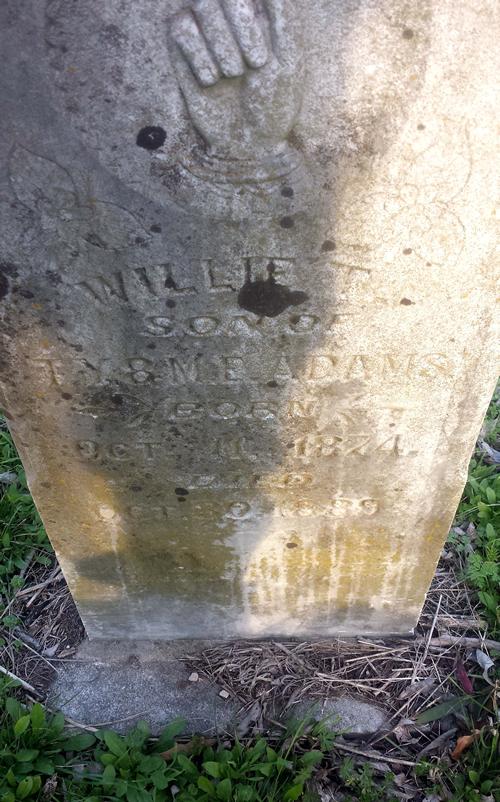 Grandview TX - Wilkinson Family  Cemetery tombstone