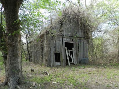 Greenwood Tx - Local Shack