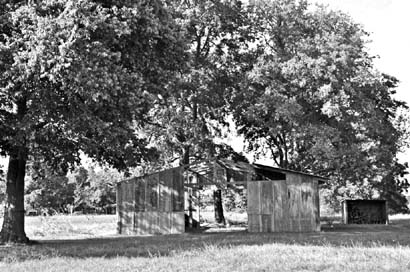 Minter Texas rural scene