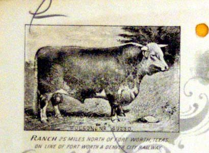 Cattle, B.C. Rhome Ranch letterhead,  Rhome Texas
