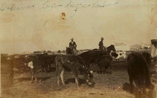 Ammannsville TX - Dobrava Cowboys