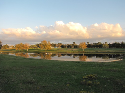 Ammannsville TX- Osina Farm