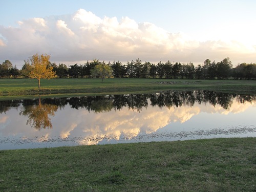 Ammannsville TX- Osina Farm