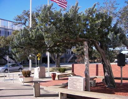 TX Brazos County Courthouse cedar