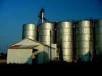 Oil tanks in Cameron, Texas