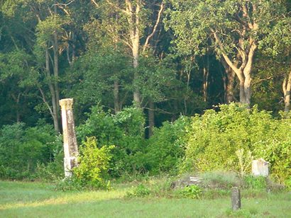 Born in Anderson District, SC, buried in Texas, Cameron Pioneer Cemetery