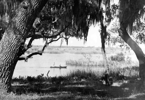 Eagle Lake TX Islands 