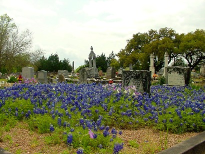 Fayetteville Texas Cemetery  with bluebonnets