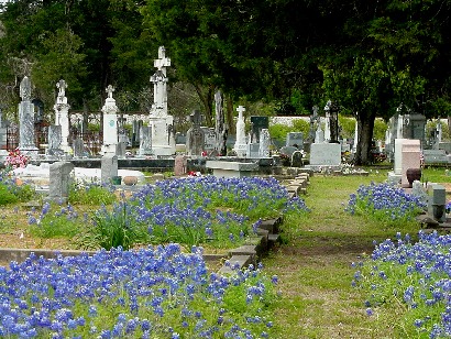Fayetteville Texa Cemetery - Old tombstones among bluebonnets