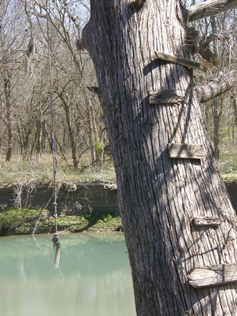 Fentress Texas tree over San Marcos River