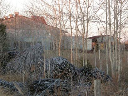 Floy TX Closed Charcoal Plant