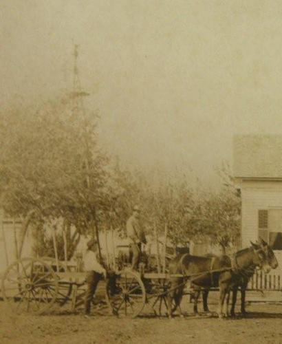 Bastrop County, Grassyville TX Horse wagon and windmill