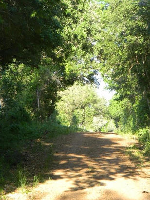 Grassyville TX - Road to Grassyville Cemetery