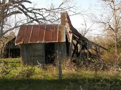 Halsted TX Old Shed