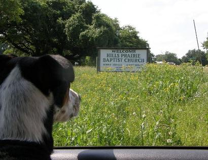 Bastrop County - Hills Prairie TX Baptist Church Sign