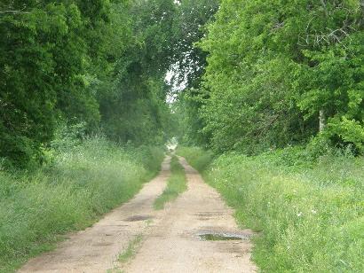 Bastrop County - Spring in Hills Prairie TX