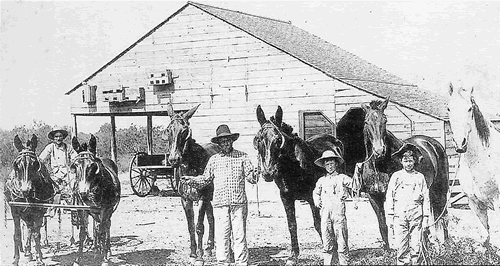 Kirtley TX - Farm Family1920s 