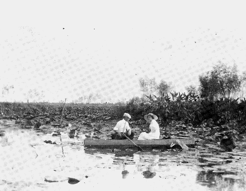 Kirtley TX - Primm Lake. 1912