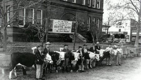1941 Calf Show in front of Madison County courthouse,  