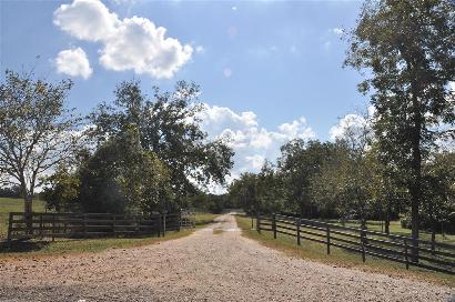 Millheim TX - Country Road