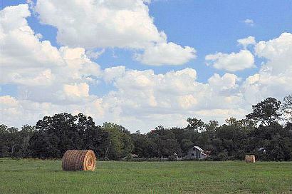 Millheim TX Hay Stacks