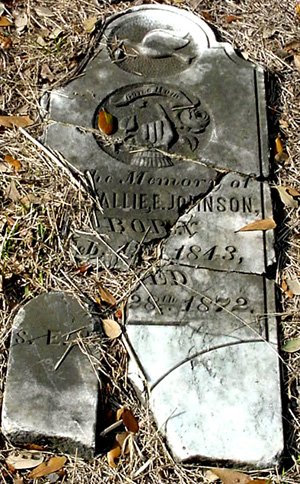 Washington County TX - Mt Zion Cemetery Johnson tombstone broken