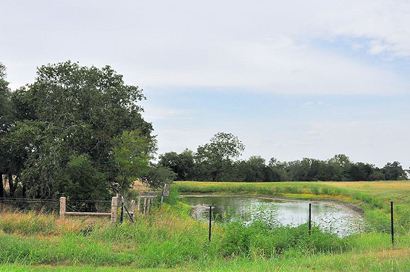 Nechanitz TX pond