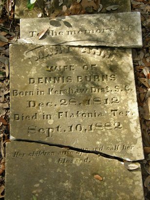 Oso TX - Pine Springs Cemetery broken tombstone