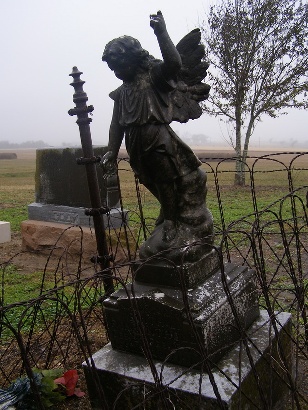 Ross Prairie TX - St. John's Evangelical Lutheran Cemetery  angel