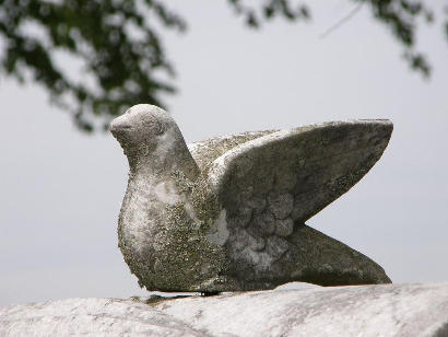 Fayette County TX - Rutersville Cemetery Dove