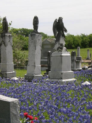 Fayette County TX - Rutersville Cemetery tombstones with bluebonnets