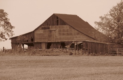 Sedan TX - Old barn