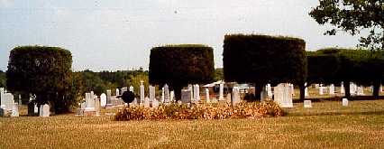 graves and trimmed trees in Serbin Texas