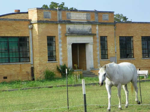 Sharp Tx - School with horse