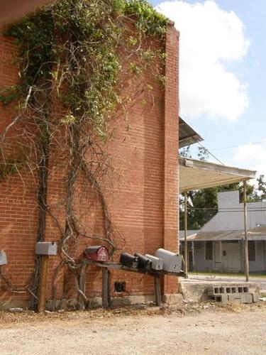 Uhland Texas mailboxes and Vines on brick wall